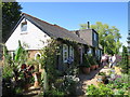 Winchelsea open gardens