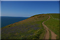 SN0040 : Pembrokeshire coast path on the west side of Dinas Island by Christopher Hilton