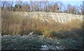 Chalk cliff, railway cutting