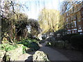 Asteys Row Rock Garden (2)