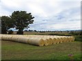 Round bales, Westown