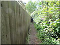 Narrow footpath with dog walker