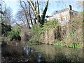 The "New River" and houses in Alwyne Road