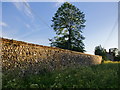 Flint rubble wall, Butt Street, Ludgershall