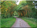 Public footpath on track near Great Loveney Hall, Wakes Colne