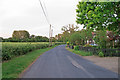 Road past Jordans Farm, Wakes Colne