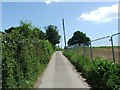 Lane leading to Grove Manor, Woodnesborough