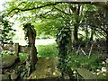 Footpath at  Llangelynnin