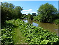 The Oxford Canal and towpath