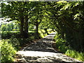 Sunlight and shadows, Hay Green Lane near Wyatt