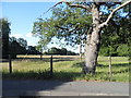 Field by Broomhall Farm, Sunningdale