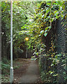 Footpath with street lighting along the boundary of the Land Rover works, Olton