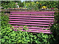 Pink bench, Winchelsea open gardens