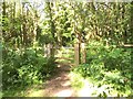 Gate onto Headley Heath