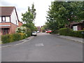 Osborne Avenue - viewed from Tyndale Avenue