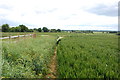 On the path by Brickbarns Farm