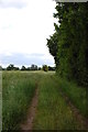 Track near Brickbarns Cottages