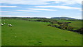 Looking inland from the Wales Coast Path