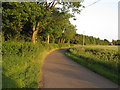 Road near old airfield, Wakes Colne