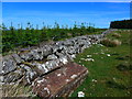 Carved stones by the track to Watstone Hill