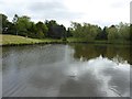 Pond at St David