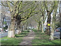 Linear park in Petherton Road, N5 (4)