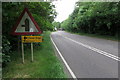 Bedford road heading towards Great Barford