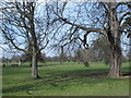 Clissold Park