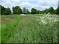 Footpath to Old Harrow Lane