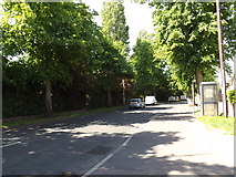 TG2008 : Bowthorpe Road, Earlham by Geographer