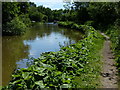 Oxford Canal and towpath at Upper Heyford