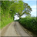 Track near Purcombe Farm