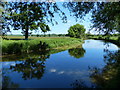 Looking south along the Oxford Canal