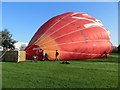 SP5005 : Looking like a Balloon by Bill Nicholls