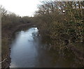 Downstream along the Brue, Highbridge