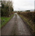 West along Strand Lane near Westbury-on-Severn