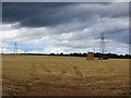 Barley stubble, Longforgan