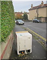 White goods on the pavement, Redland