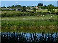 Greenhill Farm viewed from the Oxford Canal