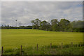 Fields and aerogenerator at Dubton, near Brechin