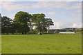 NO5358 : Trailer in a field at Gateside, near Brechin by Mike Pennington
