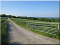 Bridleway track to Rounden Wood