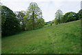 Footpath above Grindleford