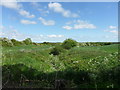 Harey Dene, Low Newbiggin