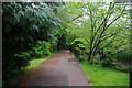 Footpath & cycleway from Cox