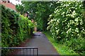 Footpath & cycleway from Cox