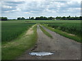 Farm track near Bleasby Field