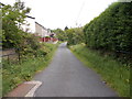 Peat Ponds - Laund Road