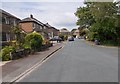 Rafborn Grove - viewed from Rafborn Avenue