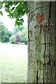 Tree of Love, Castle Park, Frodsham